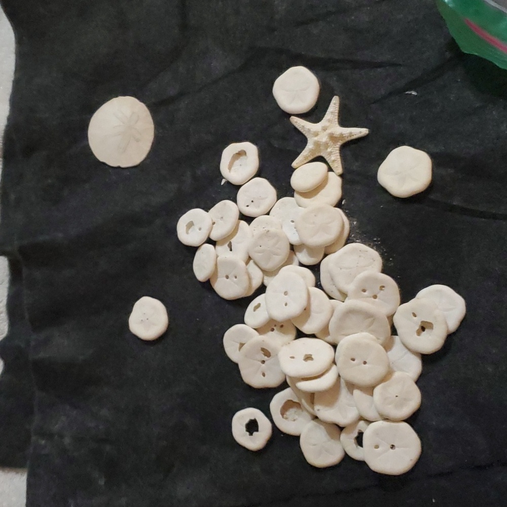 Bag of Sand Dollars